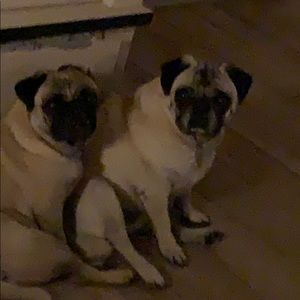 Meet your Posher, Lorena